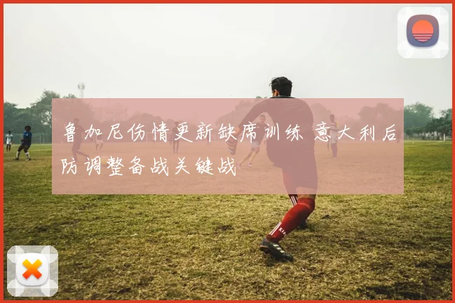 鲁加尼伤情更新缺席训练 意大利后防调整备战关键战